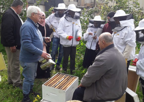 Corso di avviamento all’apicoltura – edizione di Jenin
