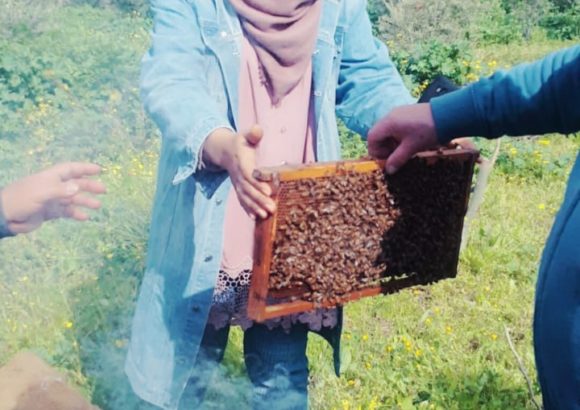 Corso di avviamento all’apicoltura – edizione di Jenin